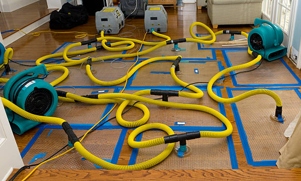 Professional Structural Drying And Dehumidification technician working in Graytown, OH